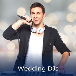 DJ / MC talking to guests at a weding. Link to local DJs that can be booked for weddings
