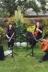 Ariella Strings - Quartet, Trio & Duo