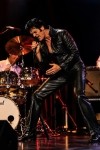 Elvis Experience - Paul Thorpe