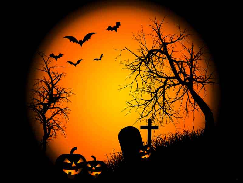 Halloween pumpkin bats graveyard