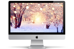 Winter wonderland zoom party background