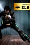 James Burrell as Elvis Presley