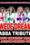 ABBA Tribute Band Swede Dreamz