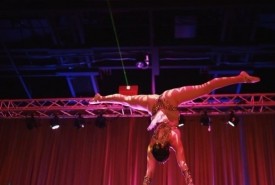 Maddie Melotte (Out on a Limb) - Aerialist / Acrobat