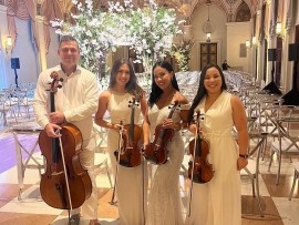 Crossover violinist from classic to top 40 covers - String Quartet - Fort Lauderdale, Florida