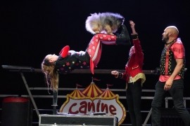 Canine Circus - Childrens Magician - Toronto, Ontario
