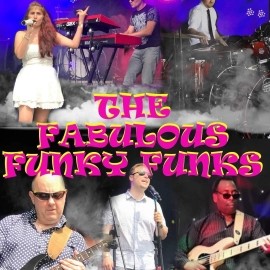 The Fabulous Funky Funks  - Cover Band - Woking, South East