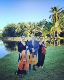 Crossover violinist from classic to top 40 covers - String Trio - Fort Lauderdale, Florida