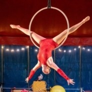 Amanda Jane - Circus Performer Peekskill, New York