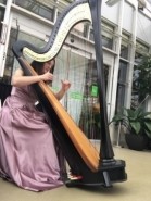 Devon Carpenter - Harpist Jacksonville, Illinois