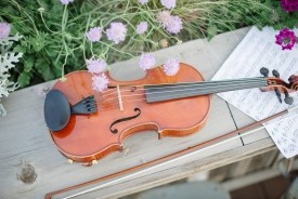 World On A String Quartet/Solo Violinist - Violinist Oklahoma City, Oklahoma