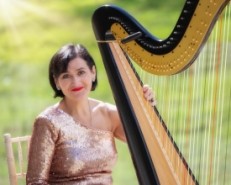 HARPIST/SINGER/PIANIST/ORGANIST - Harpist Northern Ireland
