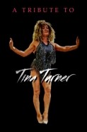 Pauline Kaytanua Wood  - Tina Turner Tribute Act Swansea, Wales