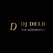 DJ DELB  - Party DJ