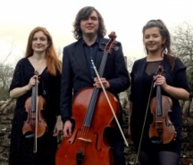 Aderyn String Trio - Violinist United Kingdom, North of England