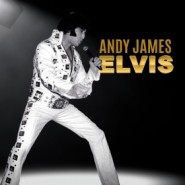 Elvis in Concert - Elvis Impersonator Wolverhampton, West Midlands