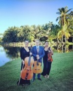Crossover violinist from classic to top 40 covers - String Trio Fort Lauderdale, Florida