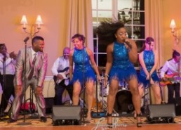 The Queen's Court Party Band  - Funk Band Charlotte, North Carolina