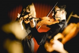 Capella String Quartet - Violinist Glasgow, Scotland