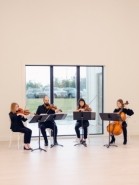 World On A String Quartet/Solo Violinist - String Quartet Oklahoma City, Oklahoma