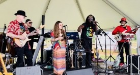 T.Natty - Reggae / Ska Band Avon, Indiana