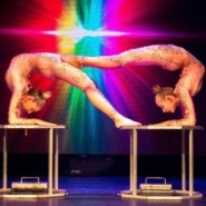 Dargie Entertainment - Contortionist Glebe, New South Wales
