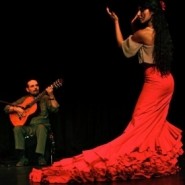 Rebeca Ortega - Flamenco Dancer 