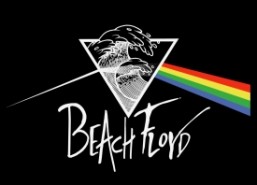 Beach Floyd - Other Tribute Act Virginia Beach, Virginia