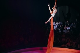 Nicole Burgio - Aerial Rope / Silk / Hoop Act Philadelphia, Pennsylvania