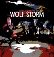 WOLF STORM - Cover Band Caerphilly, Wales