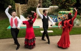 Viva Flamenco - Flamenco Dancer Wandsworth, London
