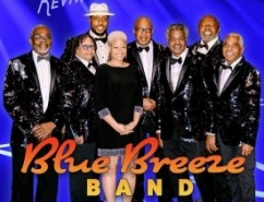 Blue Breeze Band (Motown Soul R&B and Contemporary Hits) - Soul / Motown Band Los Angeles, California
