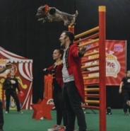 Canine Circus - Circus Performer Toronto, Ontario