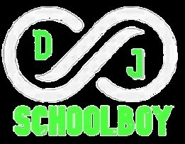 dj schoolboy 2 5 4 - Party DJ