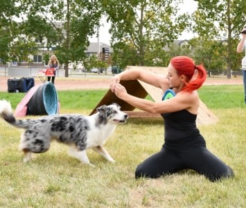 Paws Fur Fun - Dog tricks, skits and performances - Other Artistic Entertainer