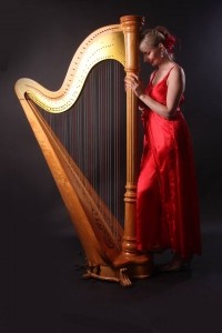 Harpist or Harp & Flute / Jazz Band  - Harpist