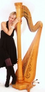 Harpist or Harp & Flute / Jazz Band  - String Trio