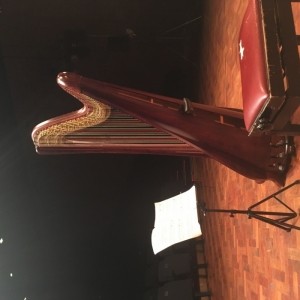 Bethan Lloyd-Thomas - Harpist
