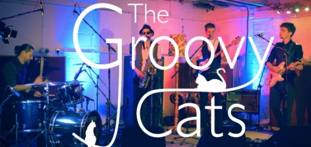 The Groovy Cats - Jam Band