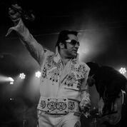 Gene DiNapoli - New York's No.1 Elvis Tribute Show! - Elvis Impersonator