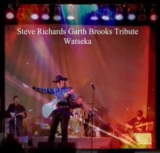 Steve Richards Tributes  - Elvis Impersonator