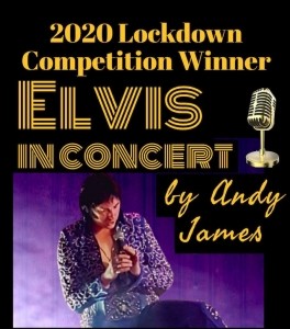 Elvis in Concert - Elvis Impersonator