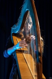 Lisa Canny: Harpist and Singer - Irish / Celtic Band