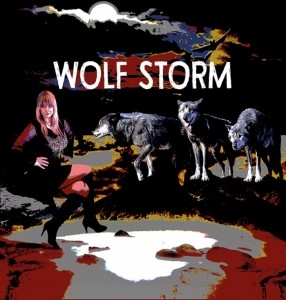 WOLF STORM - Cover Band