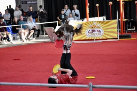 Canine Circus - Other Children's Entertainer