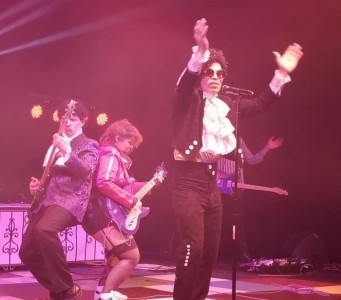 The Prince Project - A Prince and The Revolution Tribute Band - Other Tribute Band